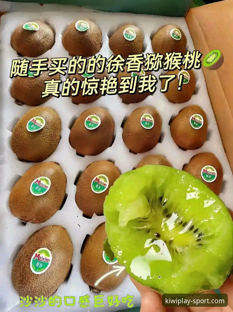 奇异果体育官网入口安卓版 奇异果体育平台安卓版深度评测:从下载到实战的全面体验报告